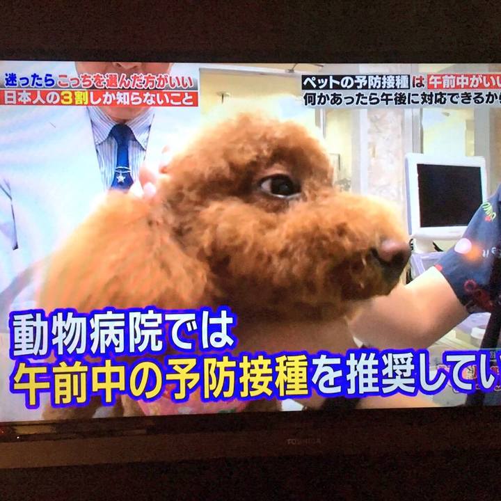 82a672b7 126e 46bf bd66 e203bace7ce1