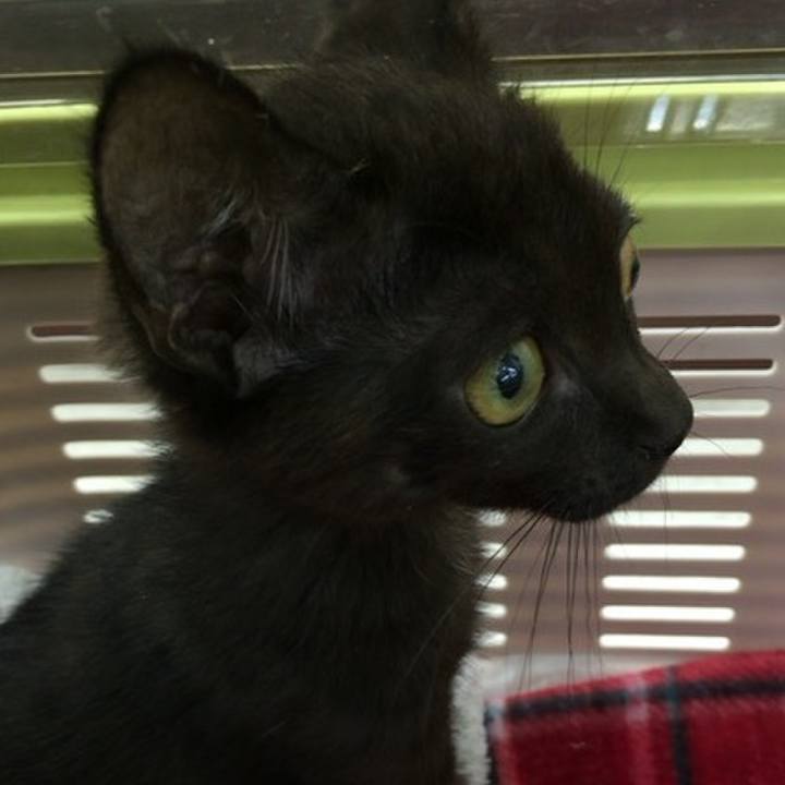 82a6c300 8542 4827 a9b1 95034a92dbf2