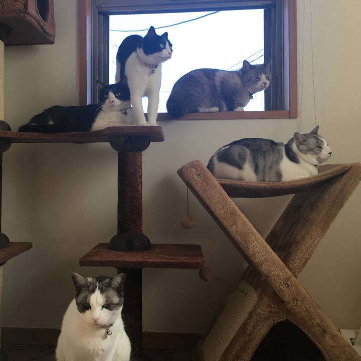 82a6ea22 60da 4ebc 8d12 8482043ec554