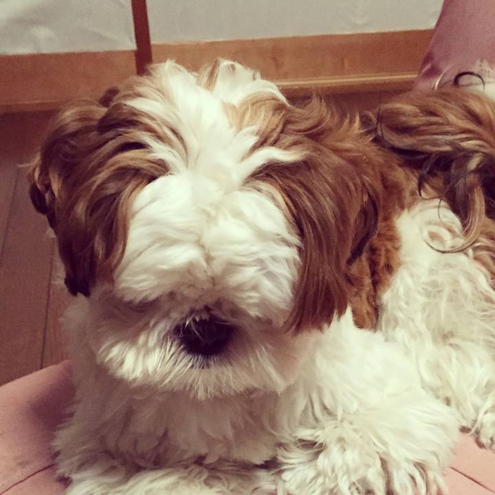 82a7e195 25f9 4ff3 b292 9ee62db6a720