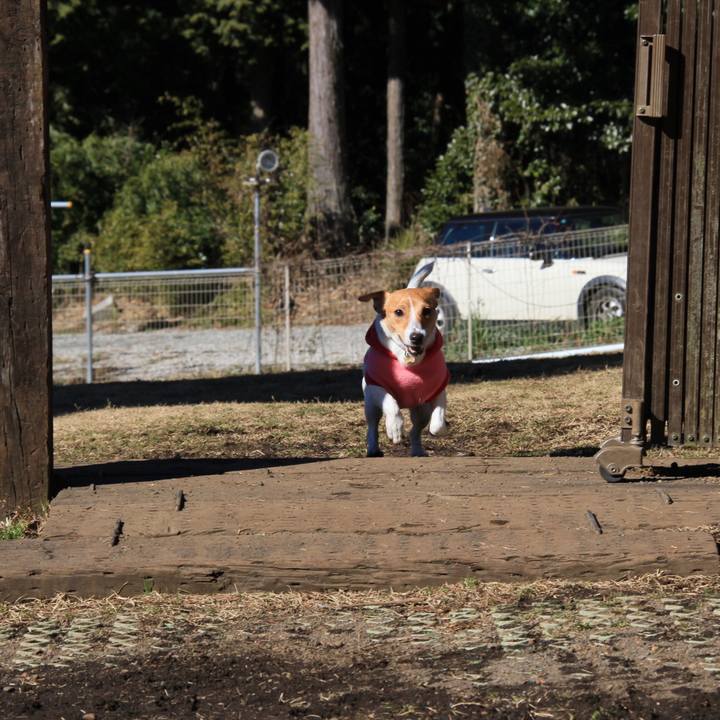 82a825d3 53ee 4730 990e 64230380c4eb