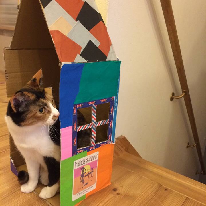 82a88422 464e 41b9 b8e8 53c2fba586ac