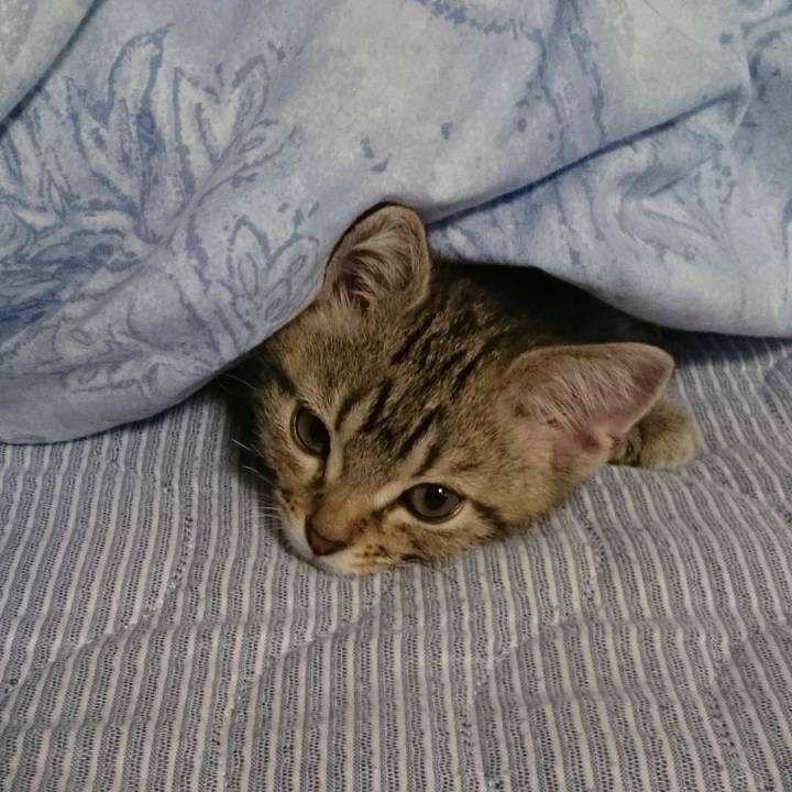 82a8bbda 9e23 470a bc1e 1a10d9dac906