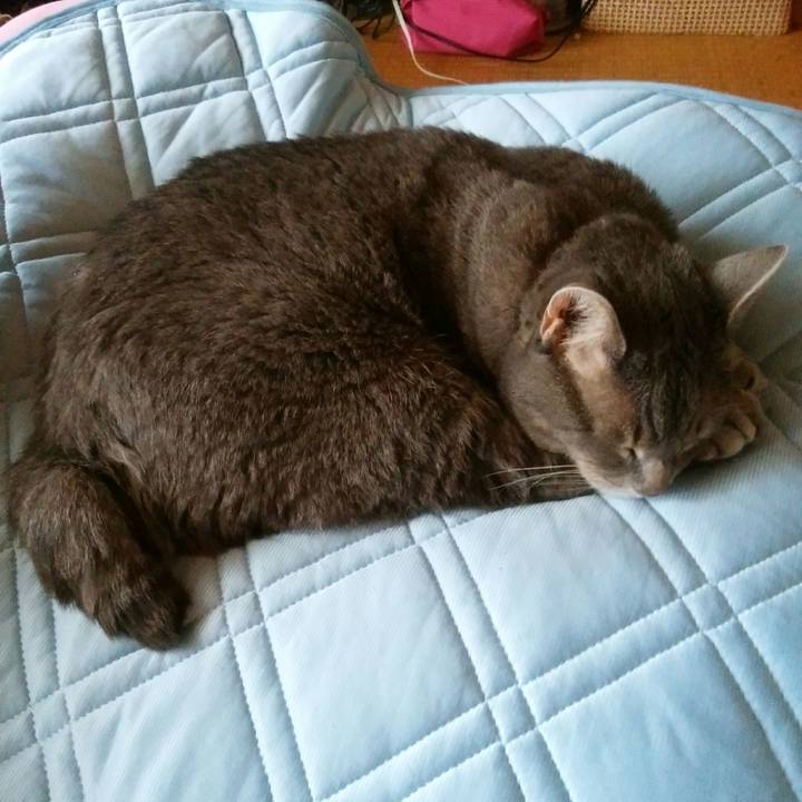 82a919d7 6fbb 45e6 bbb2 c230f5d17e93