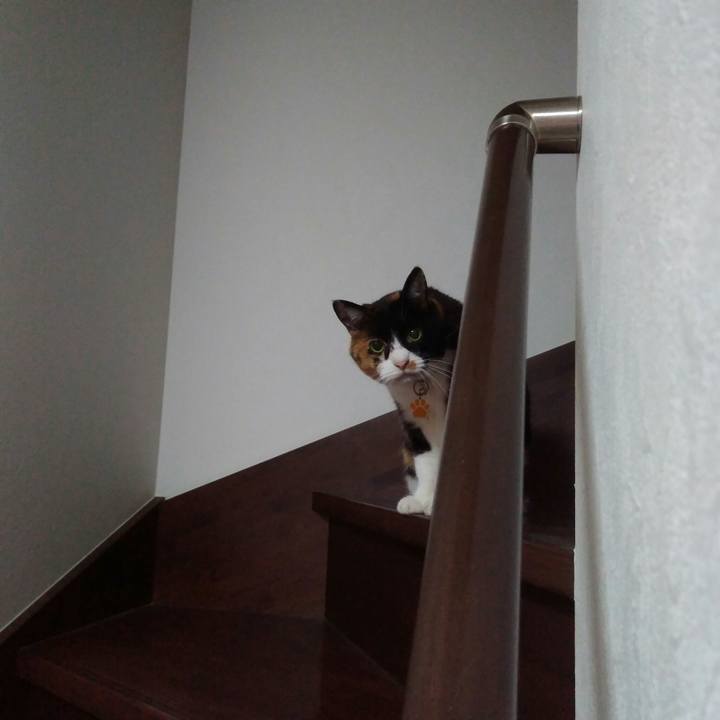 82a9a7a0 2538 4901 b2c7 38c39e95d93d