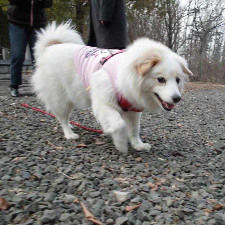 82aa3106 1db6 442d 8a25 3c568c550ae2