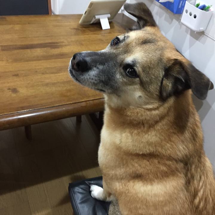 82aa6825 ee7c 44a0 b87a 42f0fcbd964a