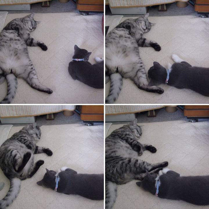 82aa9acf 3964 40cd b34f 4935ffb51da0