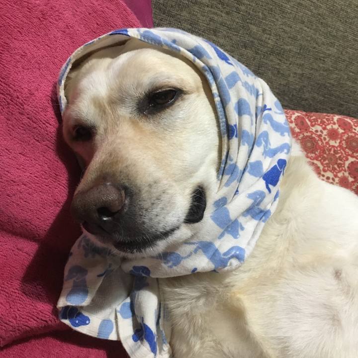 82aae2cc b8bd 4059 97eb 8086ea5e67f0