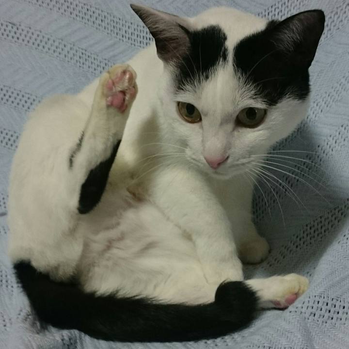 82ab4c69 d372 4cdd bf46 3c3ec6b40d64