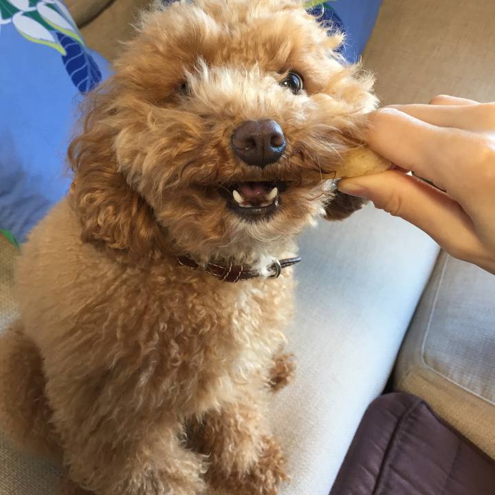 82ab8a36 00b8 43e7 8b60 fc3cf276f965