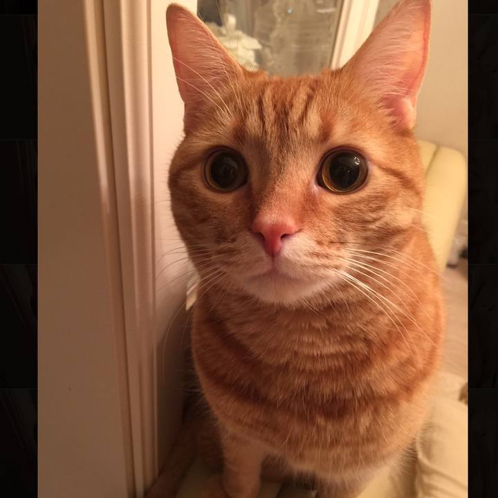 82abe567 f6f0 452a 9c57 e394adca434e