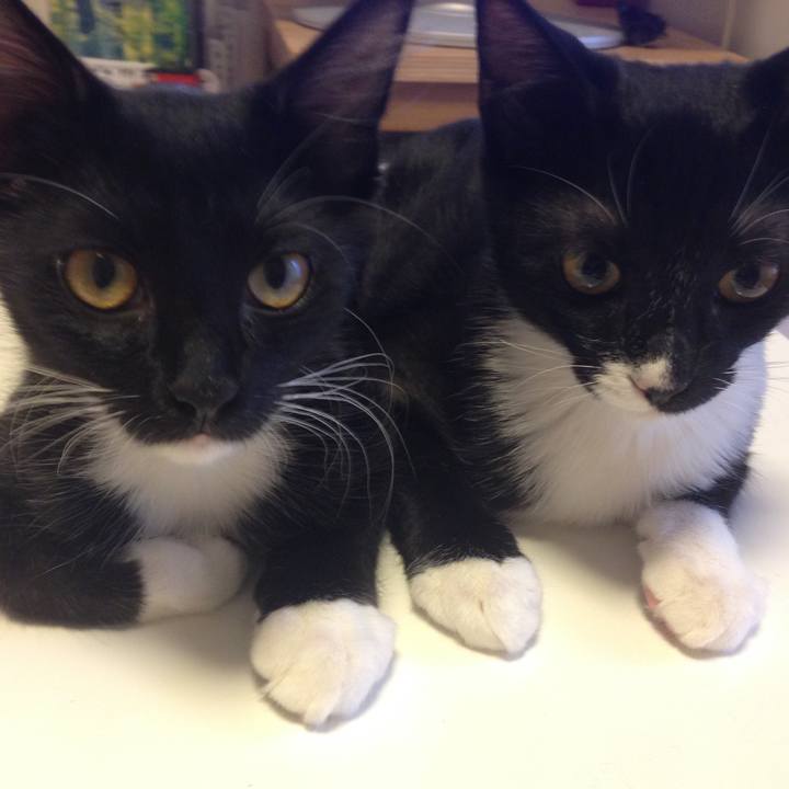 82ac340c 28fa 4ae1 b7b6 d0b964342609