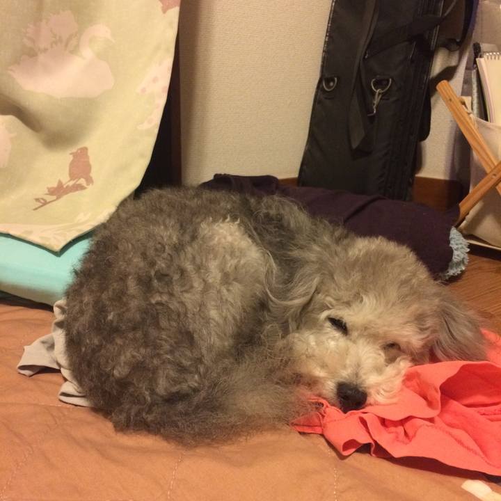 82ac3b2c 163b 476a 8ef6 d28daee85788