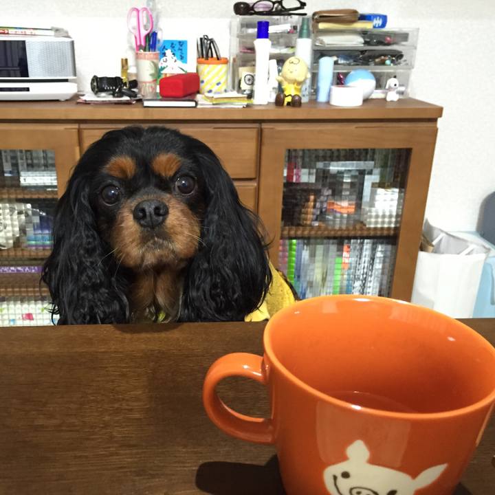 82ac4799 a112 4852 a4b1 78c0eed66b3b