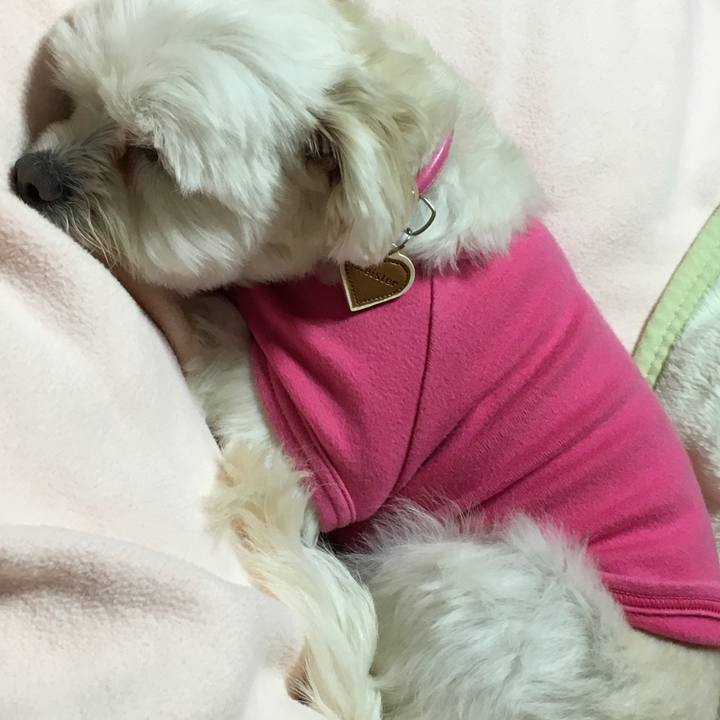 82ac6ac8 e0d7 41c1 913c e139edffeef1