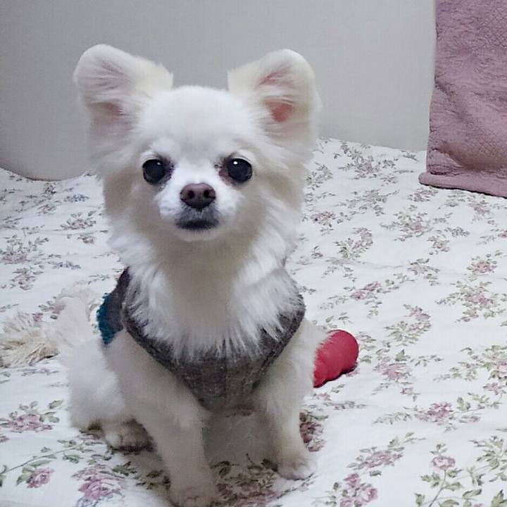 82ac8331 0a4b 49f4 af4e 72eac8666aae