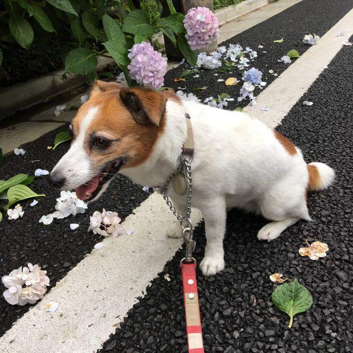 82acb289 1d27 44a8 8ba8 96af0ad3bf6f