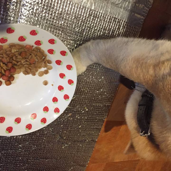 82acef13 c1a5 45b7 b087 aadb2b533801