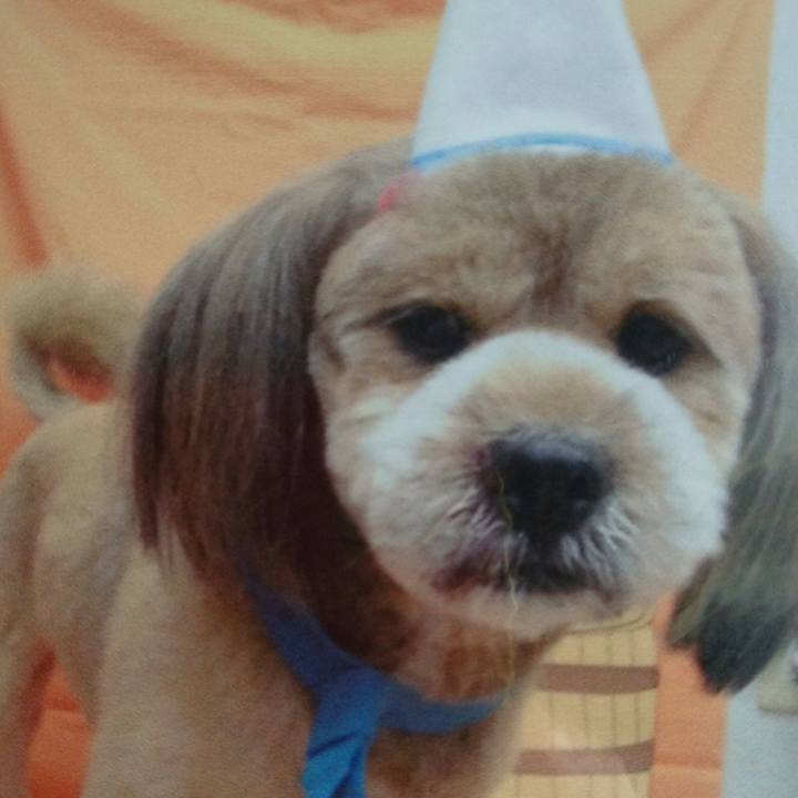 82ad38f4 b94f 447a 880f 4f1f0c08a925