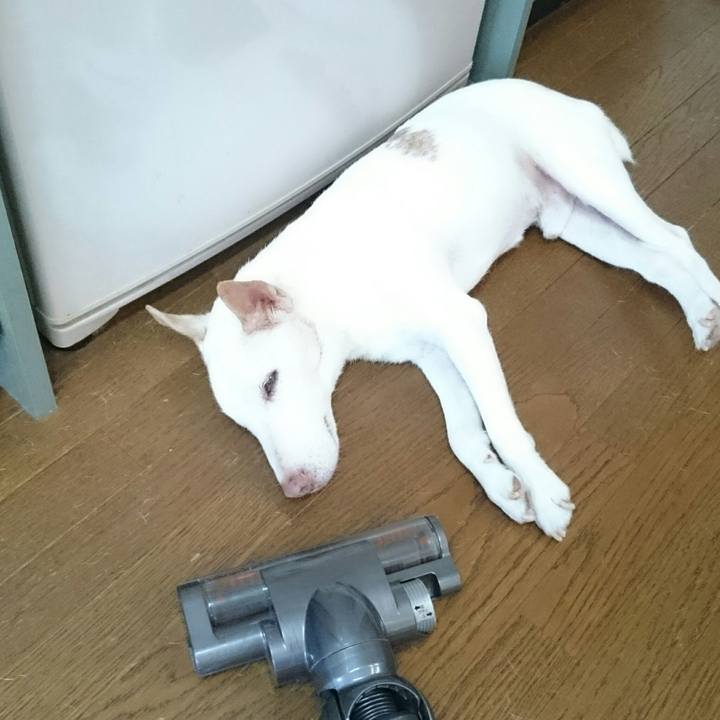 82ad480e da00 4ce1 9e83 fe1afc946893