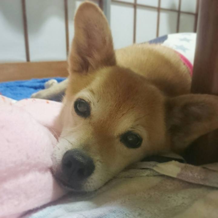 82ad4e92 a0cb 466f b242 2fb043269053