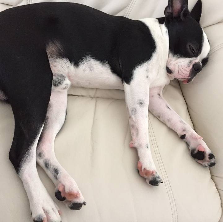 82ae528a 1f78 4d4d 9639 caa3053ca151