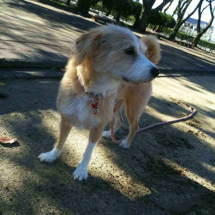 82ae7419 6474 4bc9 9b96 a795442a0aa6