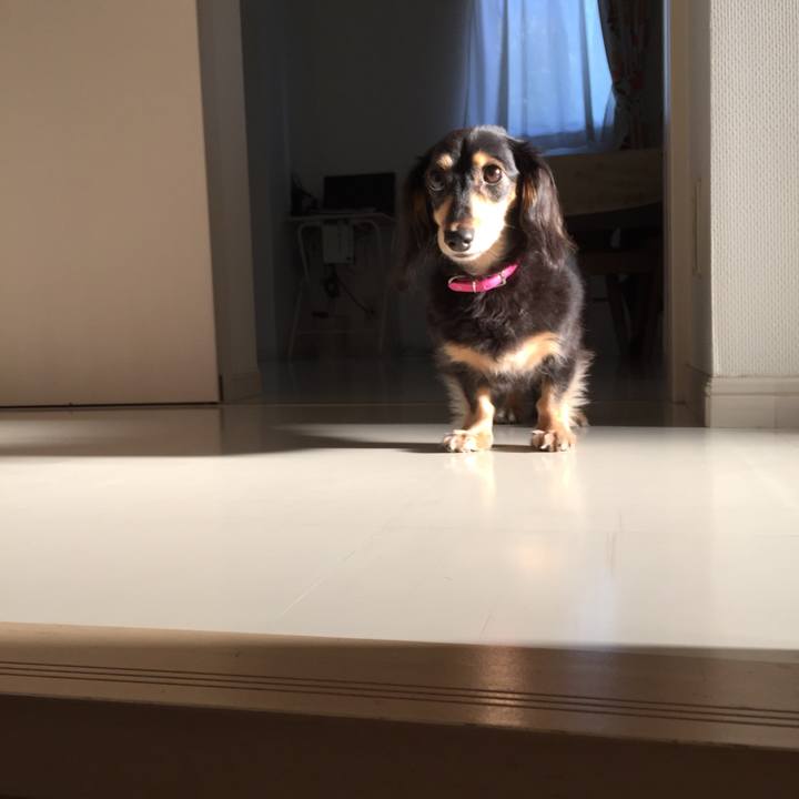 82aed8f2 4488 4543 9a44 5271a89dbc87