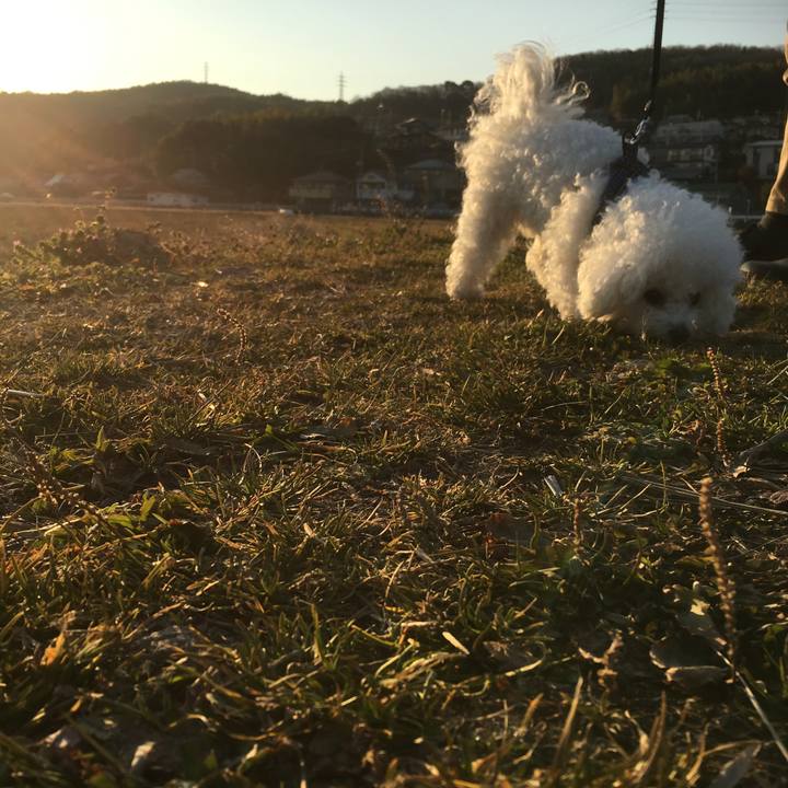 82aff22c 0091 4875 8a4d c412d5944eb1