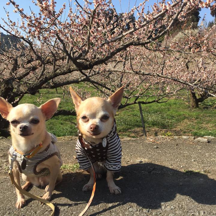 82b13afc b38d 4a7b a97d 95c7e2d7da9d