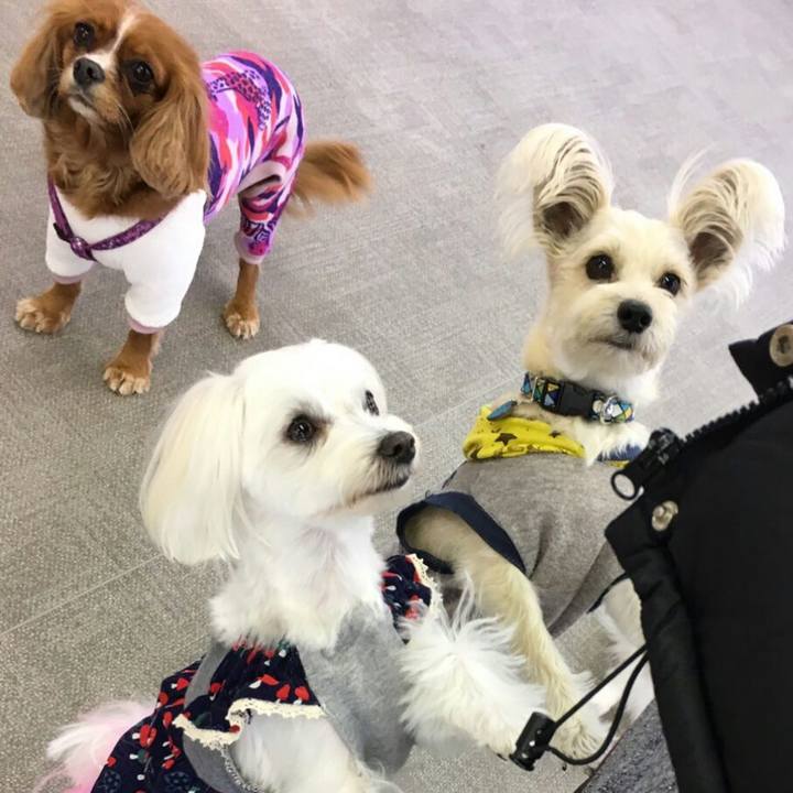 82b17d2b e687 4df0 b414 04fb8afeb58a