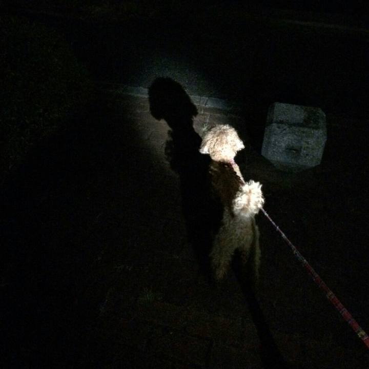 82b19dc9 e27f 4b00 8d33 31c249e75547