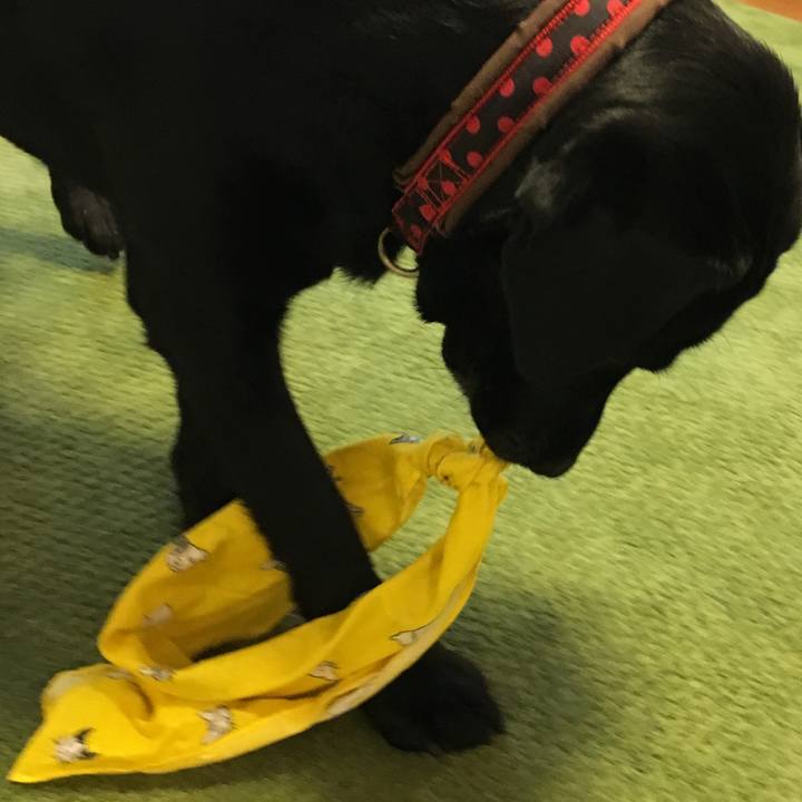 82b24d85 24eb 47b4 900c b717f1f77128