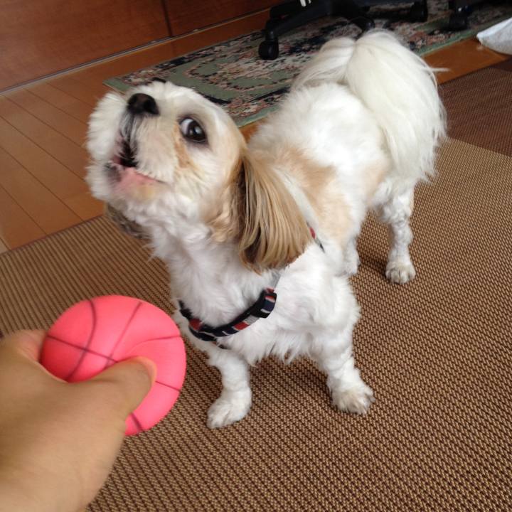 82b27708 658a 4cf6 b032 e95b3bc1d72a