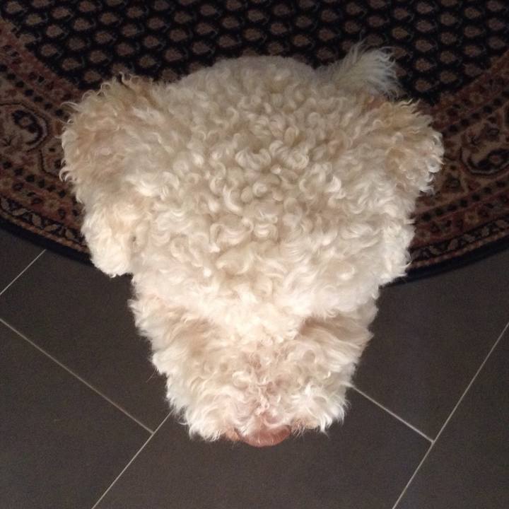 82b33e2d 6ee4 4add 83cf 87352fbba934