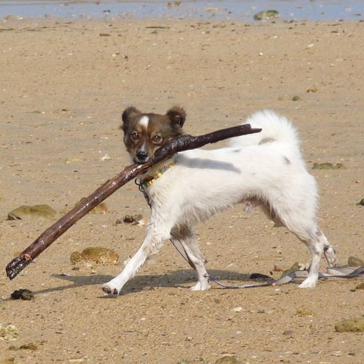 82b34a85 202b 436d 9e0f 30592a89db12