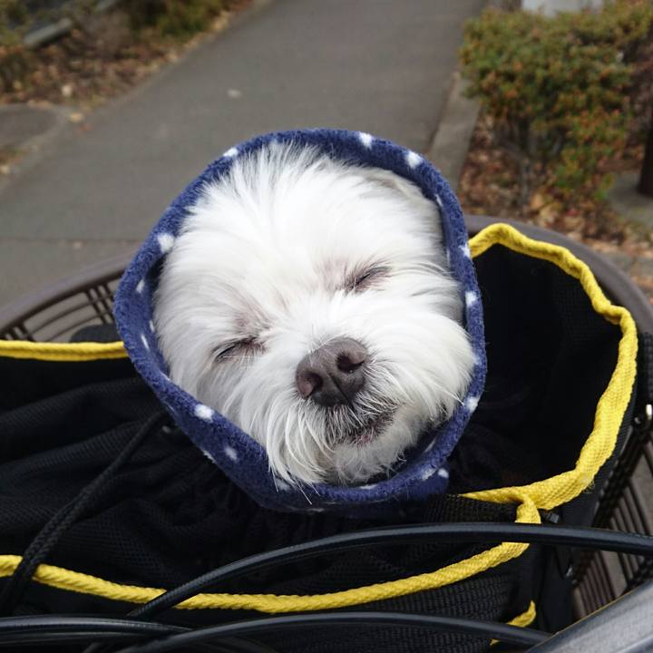 82b37c40 82a1 4493 999e 29d7d5a549cc