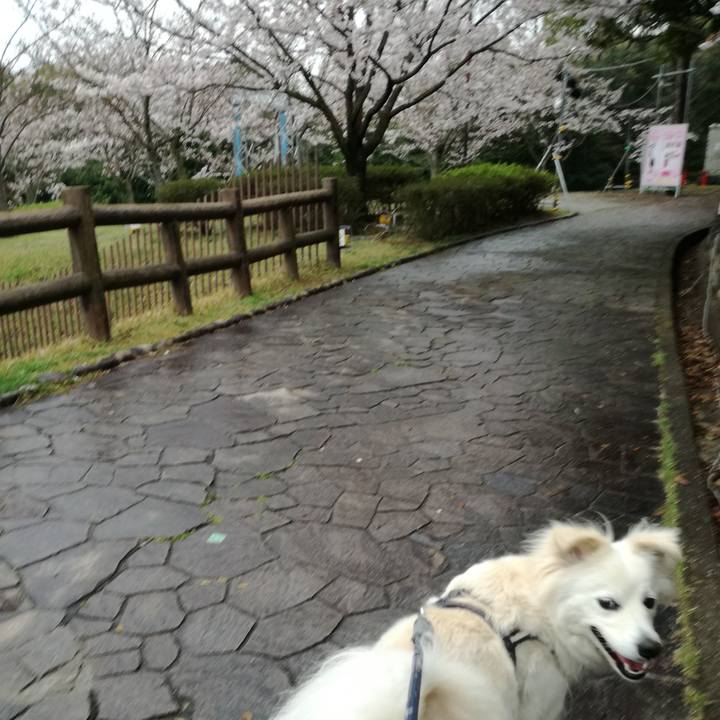 82b39951 6927 4deb b8fb 479a624db6a8