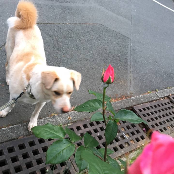 82b3dd1a c8c8 416c afa5 5eb7ca3615f3