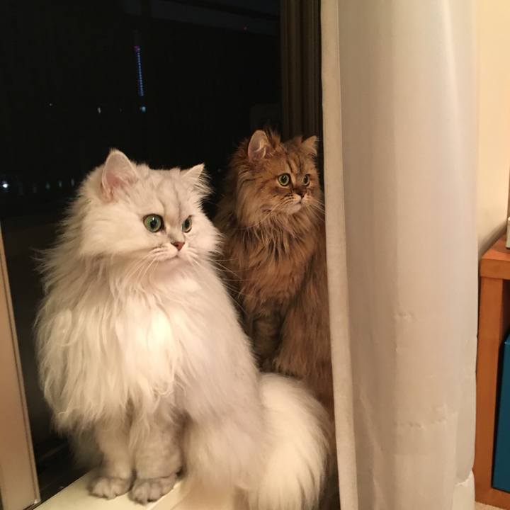 82b46a16 86d3 4e82 8340 707703cf1d01