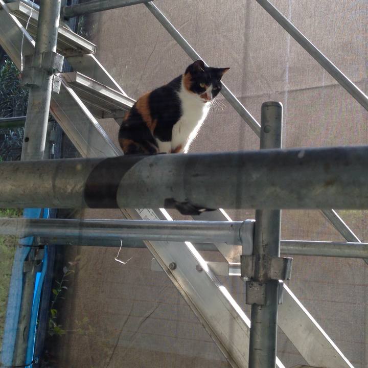 82b4734b e5d3 4658 8cfa b220db496fe2