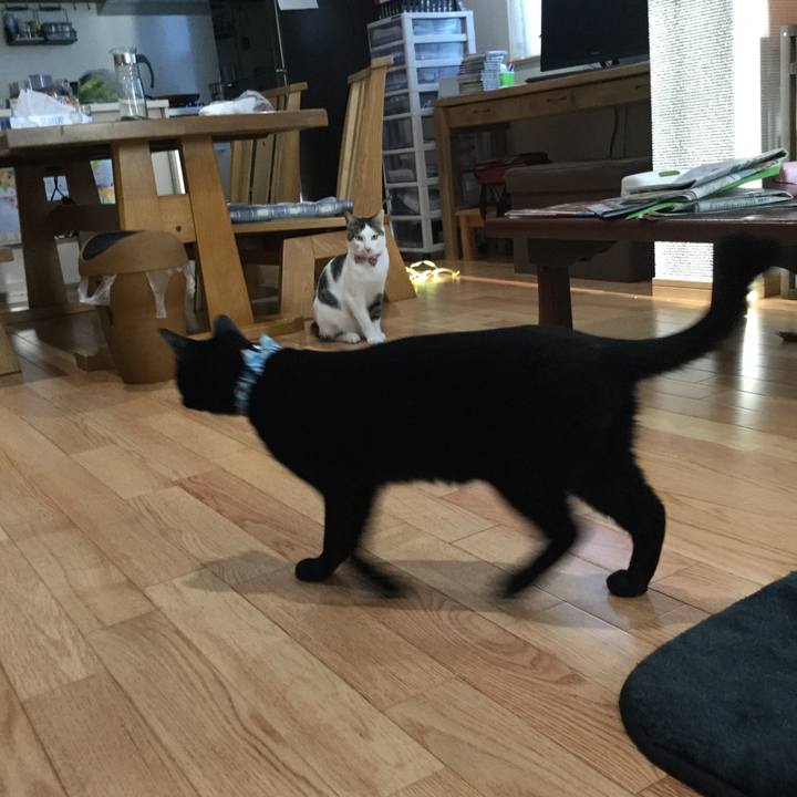 82b48657 9020 4c35 8c24 cbcd648b7a21