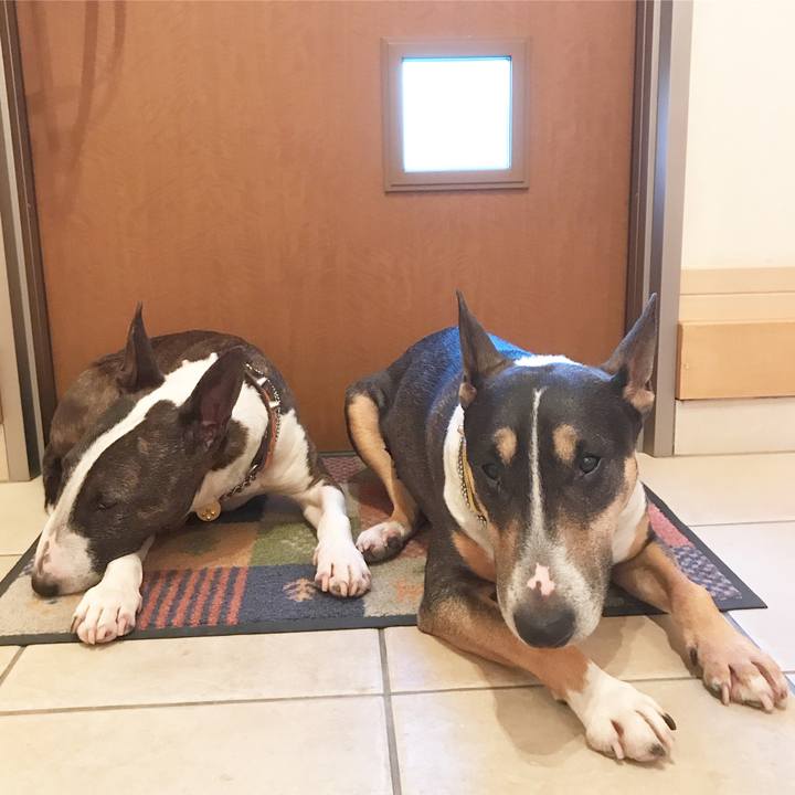 82b52aa1 840f 4bc2 8e92 5c1ab40d4e7a