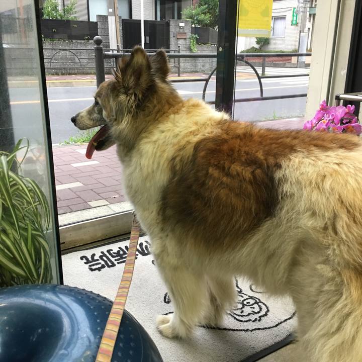 82b57dfb 958c 4dc4 83e8 93bf31723468