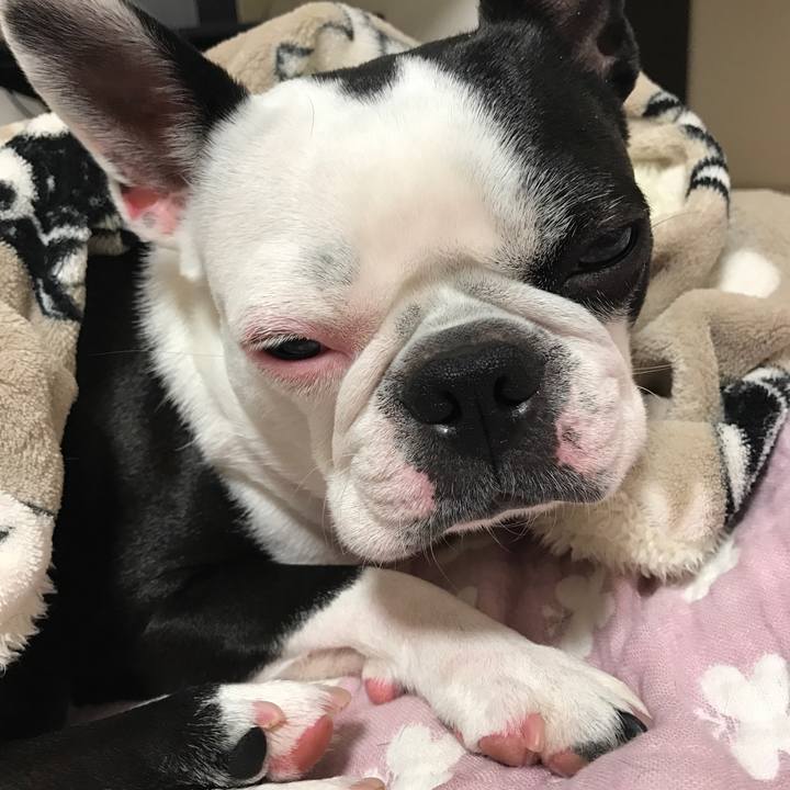 82b5a0ba 6335 478e 8b89 62c64bea4b51