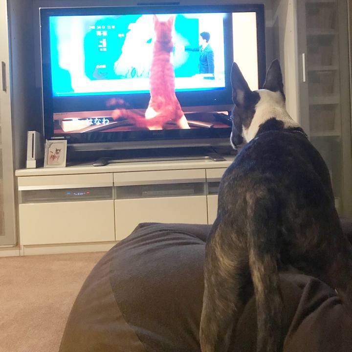 82b6089b ba1e 418b ab21 7e072a11b9ed