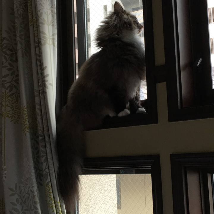 82b68c12 acd6 4dd2 a21b d324d59f6632