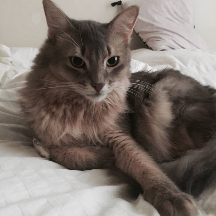 82b6bb87 f3c2 452a b8aa fa34fdefaf6a