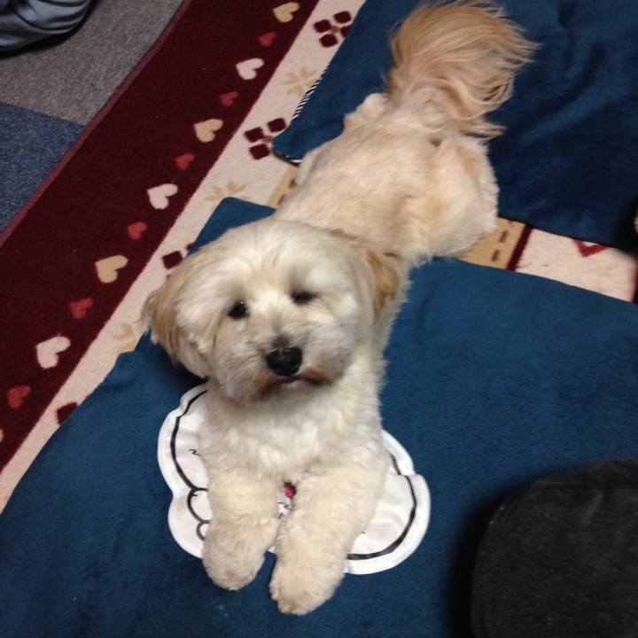 82b77254 02f3 4b61 a842 4e6a24e48352